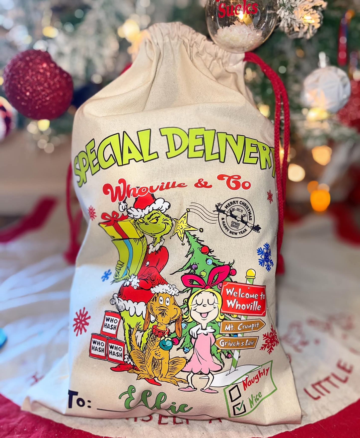 Special delivery gang santa sack (leave name in color box)